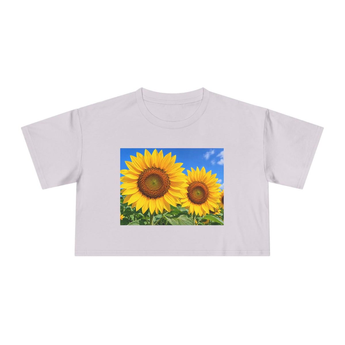 Sunflower Print Crop Tee